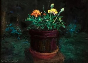 Georgette Sinclair, Artist with Lost Roots, Seeks Visual Poetry in Nature Night Life